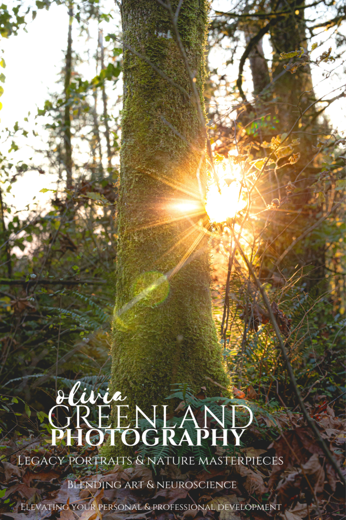 Disconnect to Reconnect | Finding Light in Nature and Mindset