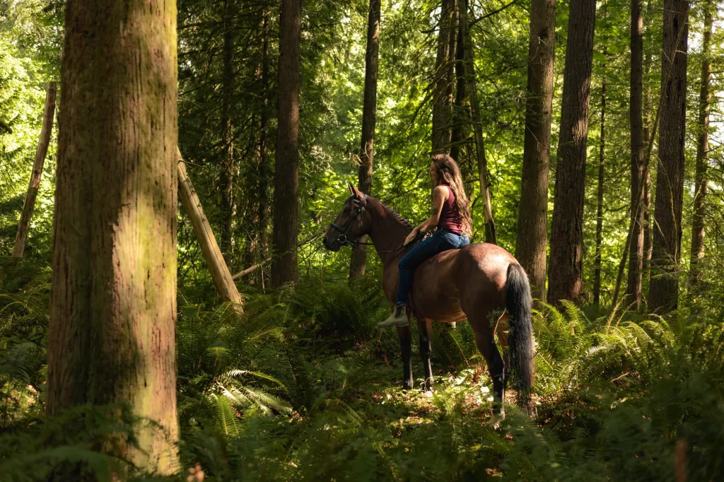 Luxury Horse Photography &amp; Experinces in BC