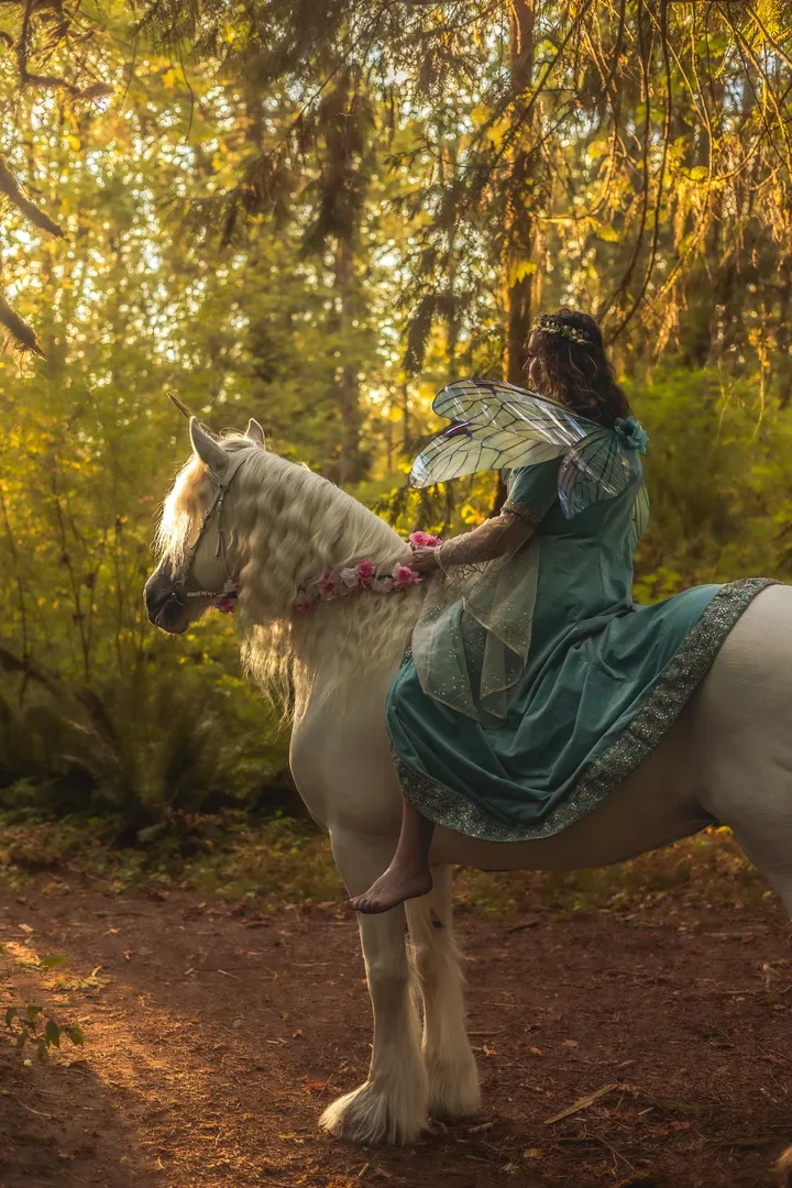 A Horse Owners Guide To Photography
