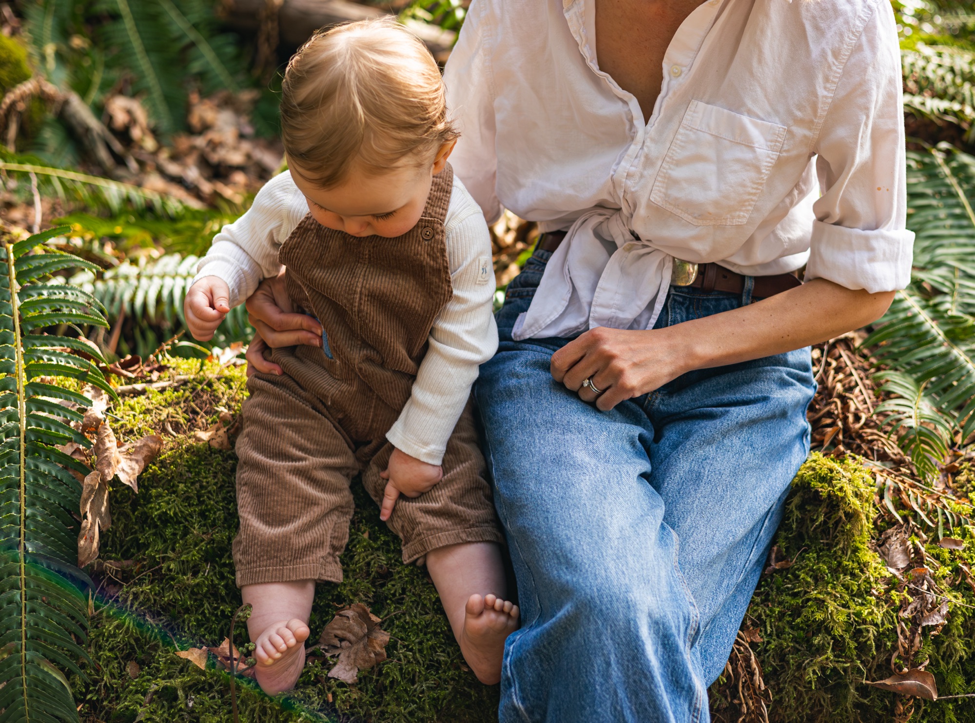 Fall Luxury Family Photography