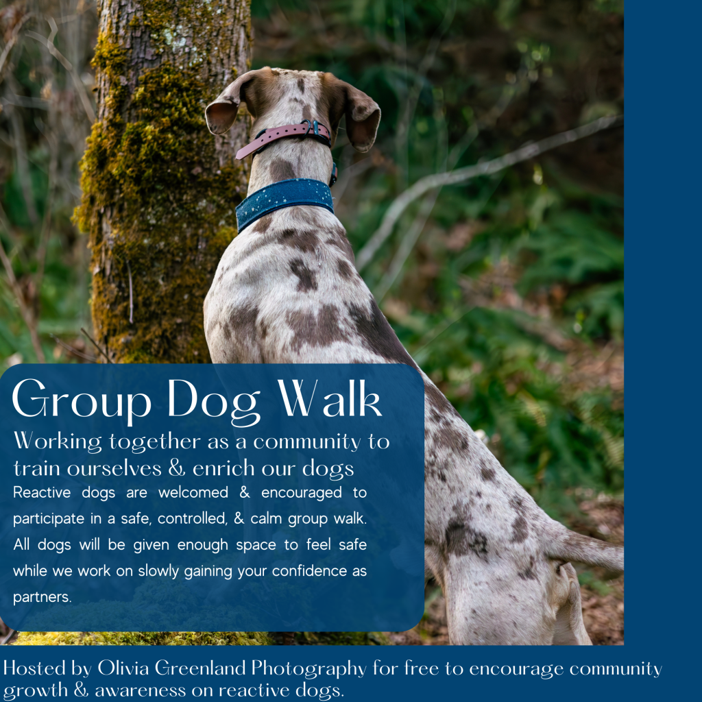 Community Group Dog Walks along the Coquitlam River