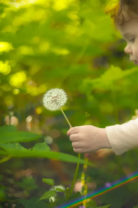 Baby with flower