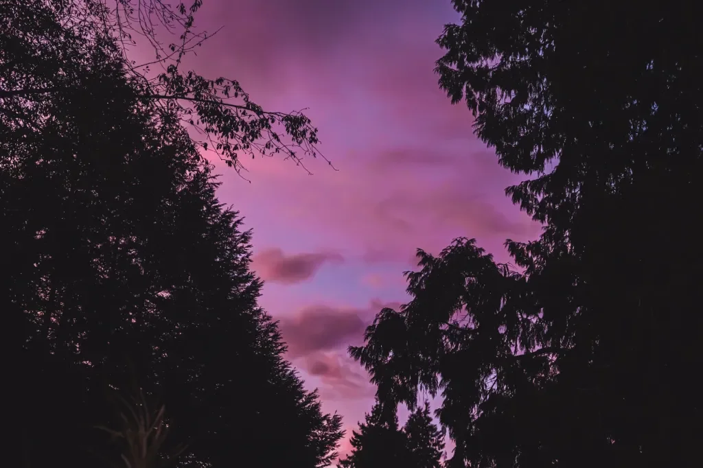 Forest light on hands