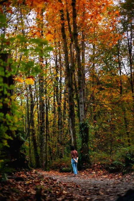 Portrait in the trees